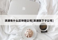 浪潮有什么区块链公司[浪潮旗下子公司]